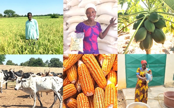 Initiatives d&eacute;velopp&eacute;es par la CPF dans le cadre du COVID-19