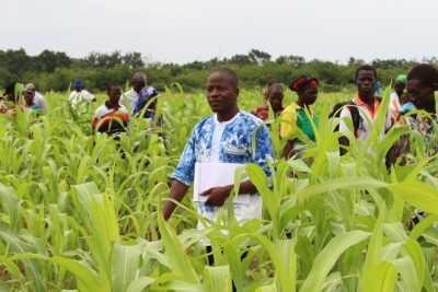 Diss&eacute;mination des technologies &agrave; Saria dans le cadre du projet SustainSahel