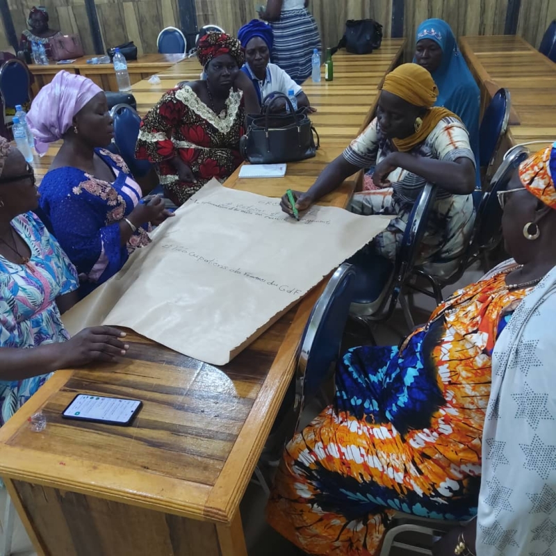 𝐀𝐭𝐞𝐥𝐢𝐞𝐫 𝐛𝐢𝐥𝐚𝐧 𝐞𝐭 𝐩𝐥𝐚𝐧𝐢𝐟𝐢𝐜𝐚𝐭𝐢𝐨𝐧 𝐝𝐮 𝐜𝐨𝐥𝐥&egrave;𝐠𝐞 𝐝𝐞𝐬 𝐟𝐞𝐦𝐦𝐞𝐬 𝐝𝐞 𝐥𝐚 𝐂𝐏𝐅