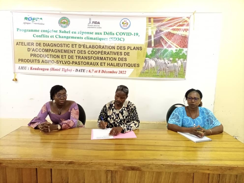 Atelier de diagnostic et d&rsquo;&eacute;laboration des plans d&rsquo;accompagnement des coop&eacute;ratives de production et transformation des produits agro-sylvo-pastoraux et halieutiques