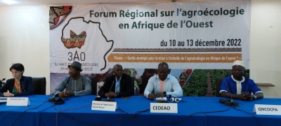 La CPF pr&eacute;sente son exp&eacute;rience sur la production durable de l&rsquo;oignon au forum r&eacute;gional de l&rsquo;Alliance pour l&rsquo;Agro&eacute;cologie en Afrique (3 AO)